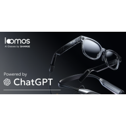 Loomos AI Glasses