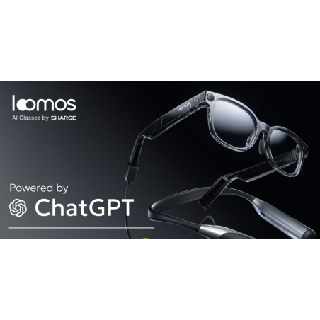 Loomos AI Glasses