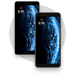 RawCyber RAW SECURE Phone
