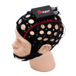 BrainBit DragonEEG