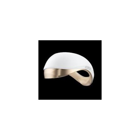 PanBrain EC2 Gold Energy