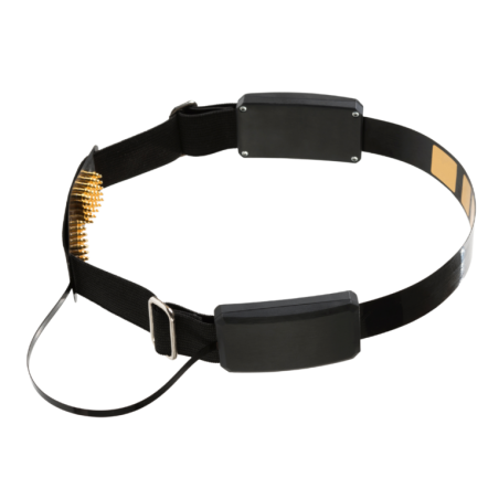 BrainAccess HALO