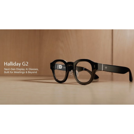 Halliday G2 AI Glasses