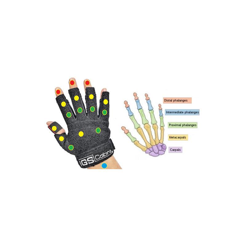AiQ Synertial Cobra Gloves