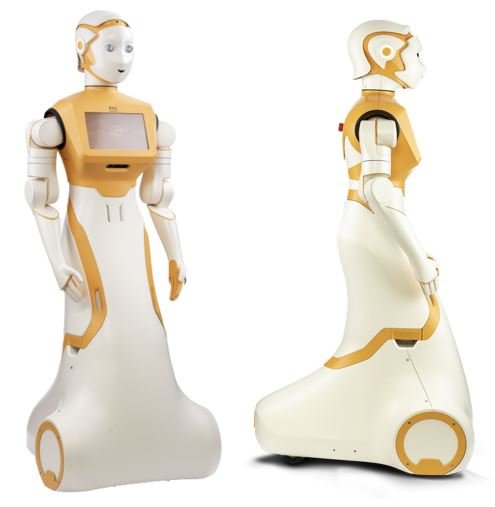 PAL Robotics ARI